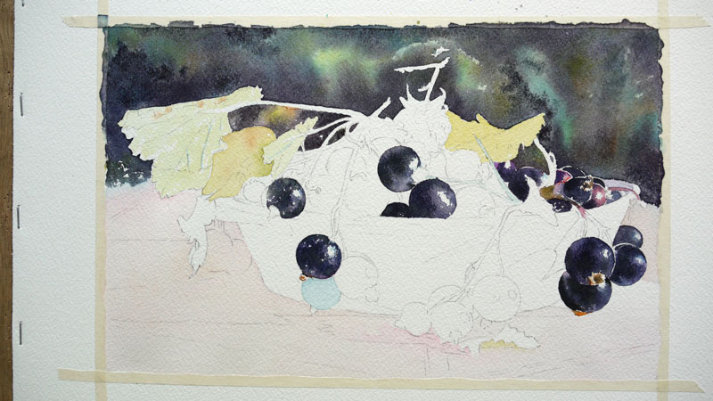 18-aquarelle-cassis-groseille