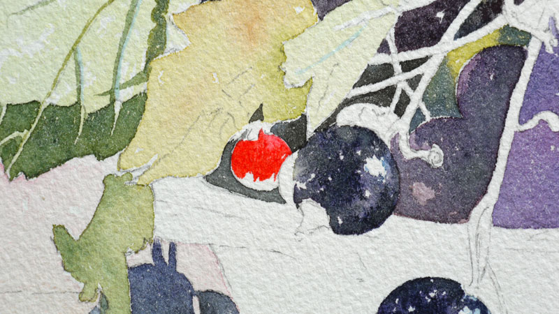19-aquarelle-cassis-groseille