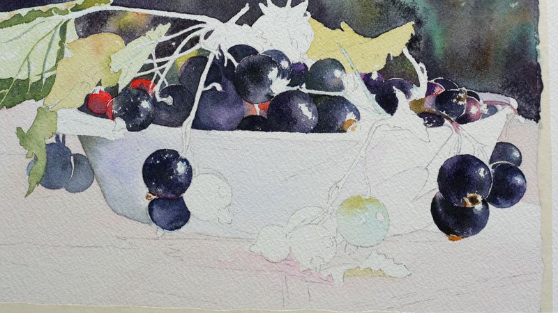 21-aquarelle-cassis-groseille