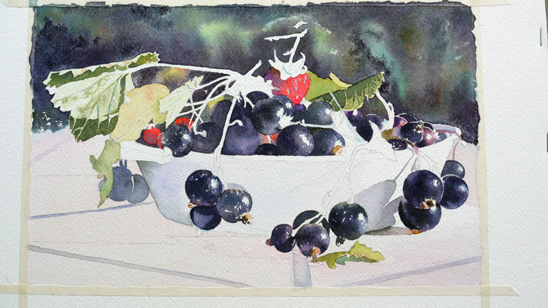 26-aquarelle-cassis-groseille