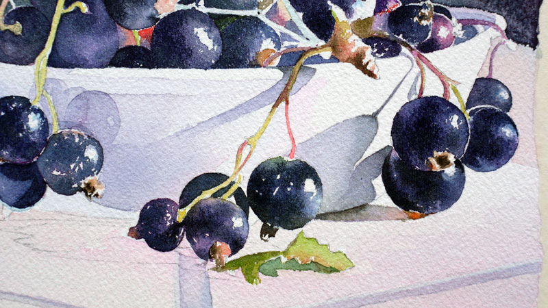 27-aquarelle-cassis-groseille