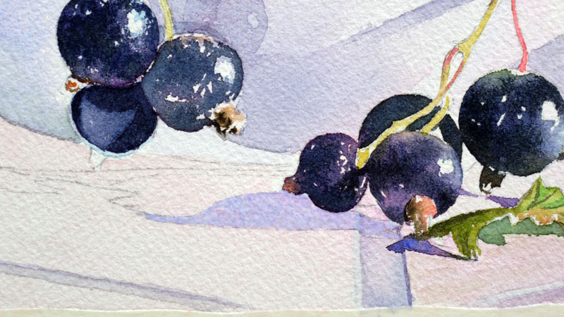 28-aquarelle-cassis-groseille