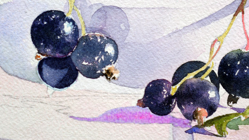 29-aquarelle-cassis-groseille