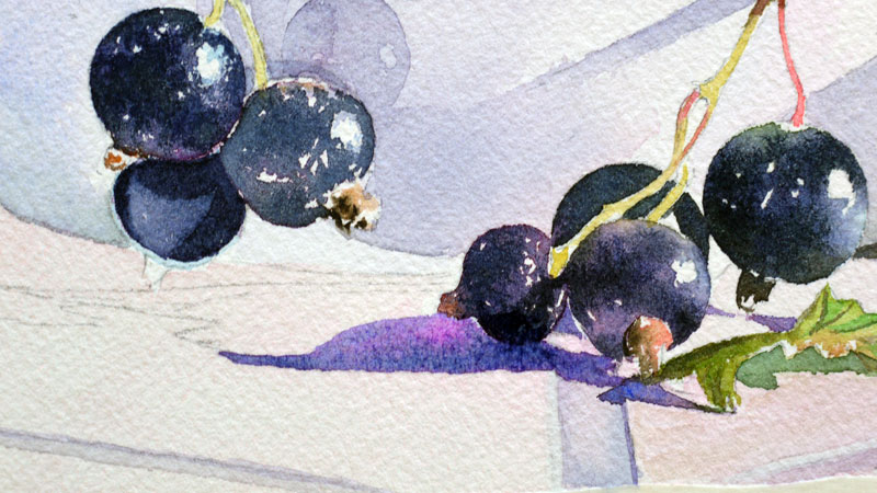 30-aquarelle-cassis-groseille