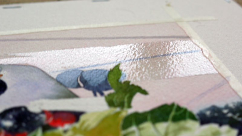 31-aquarelle-cassis-groseille