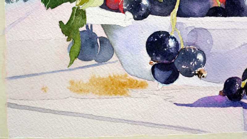 32-aquarelle-cassis-groseille