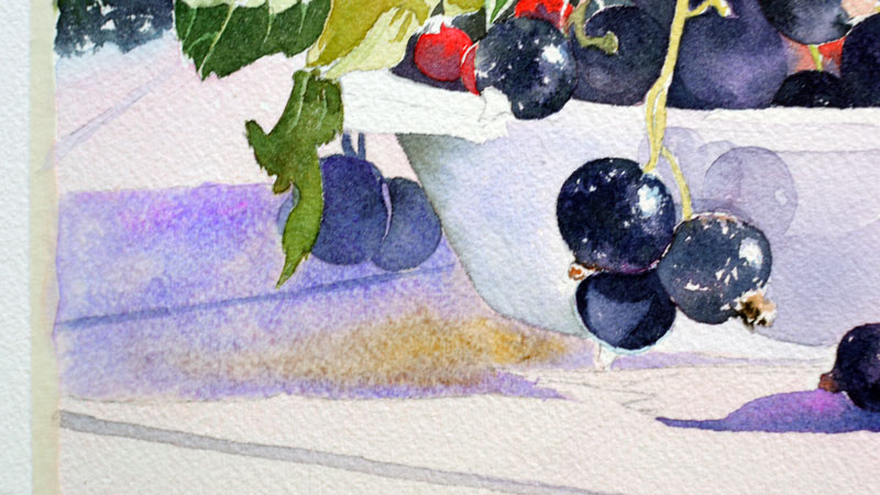 33-aquarelle-cassis-groseille