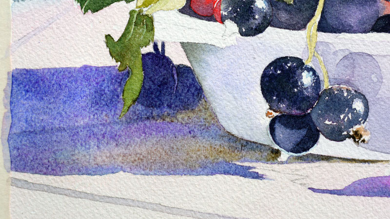 34-aquarelle-cassis-groseille
