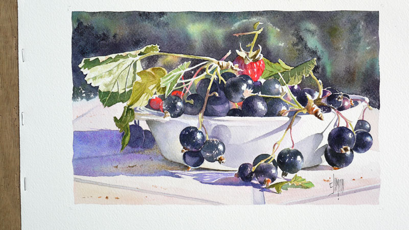 35-aquarelle-cassis-groseille